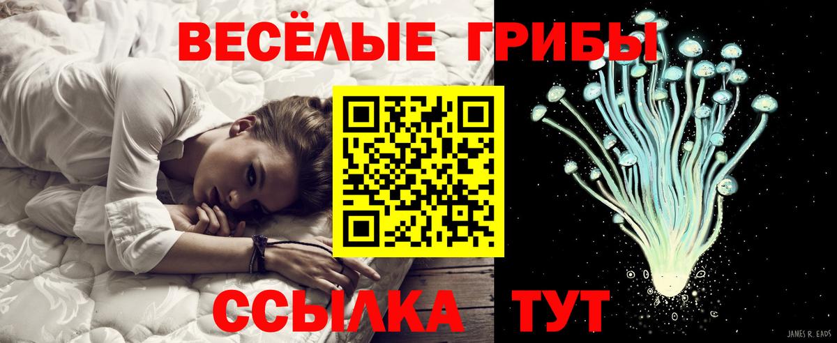 Галлюциногенные грибы мицелий  Вход с VPN  Кохма 